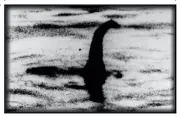 Magnet #270 Loch Ness Monster Nessy Cryptid Fortean Legend Classic Scotland
