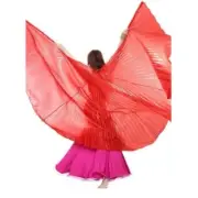 Bazzery Belly Dance Wings Belly Dancing Angle Wings Women's Egyptian Egypt Dance
