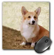 3dRose Pembroke Welsh Corgi MousePad