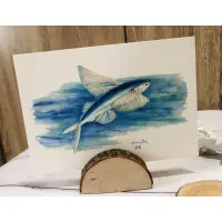 在飛比找蝦皮購物優惠-2020台東景緻明信片