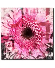 Ready2HangArt Painted Petals CII Wrapped Canvas Wall Art by Tristan Scott