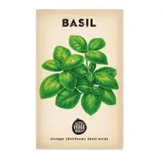 Little Veggie Patch Heirloom seeds - basil sweet genova