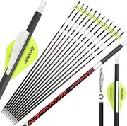 ZSHJGJR 31" Luminous Pure Carbon Arrows 300 350 400 500 600 Spine Hunting Arrows with 2" Vanes Removable Tips Targeting Arrows for Compound&Recurve&Long Bow 6/12pcs
