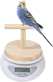 Bird Weight Scale,Small Animal Scale with Perch for Pet Bird - High Accuracy Digital Weighing Tool, Weight Changing Monitoring for Milk Powder, Medication