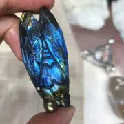Natural Carved Labradorite Cicada Specimen Skull Quartz crystal Reiki Healing*.*