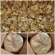 Bulk Gold Leaf Flakes - 2.1 POUNDS
