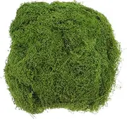 BESPORTBLE Versatile Artificial Moss Landscape Fake Grass Craft Realistic Moss Mat 100g