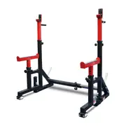 Reeplex SR10 Folding Squat Rack