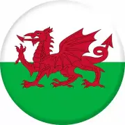 Wales Flag Circular Vinyl Stickers car window laptop Welsh Dragon bumper Cymru