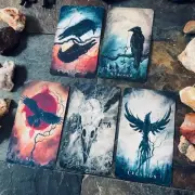 Cat & Raven Deck Bundle - Two Card Decks - Raven Oracle & Haunted Cat Tarot