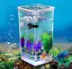 魚缸 現貨 自動換水懶人魚缸 水族魚缸(不含燈) (7.9折)