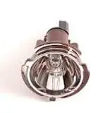 Park Light Bulb with Bulb Socket (New Genuine BMW) 63127187952 E60 5 Series (for: BMW)