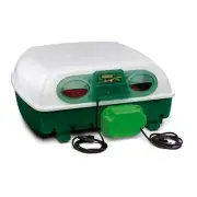 Rivers Eggtech 49 Automatic Incubator Chicken Duck Quail Egg Incubator Italian