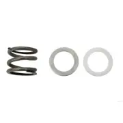 4404120005 Fluidra Spring/Washer Kit, Astral Multiport Valve