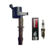 New BSH 4212 Spark Plug (1) + (1) Brown Boot Ignition Coil For 2007 Ford F150 (for: Ford)