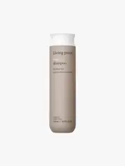 No Frizz Shampoo