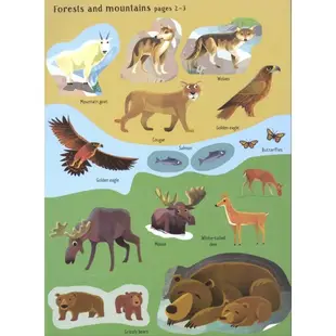 Usborne First Sticker 野生動物教育貼紙書兒童進口野生動物