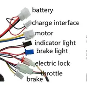 36V 500W Controller and Throttle Screw Grip Motor Controller - FFY