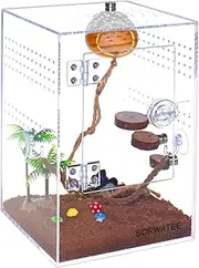 SORWATEE Spider Terrarium Kit, Jumping Spider Enclosure with Hideout, Rope Bridge, Ledge Ladder, Micro Habitat Terrarium for Small Tree Dwelling Reptiles, Arboreal Tarantula Enclosure (6x6x9 Inches)