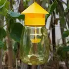 Plastic Reusable Fruit Fly Trap Killer Yellow Cage Drosophila Trap Fly Catcher✅