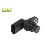 RAE Camshaft Position Sensor - SC560
