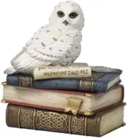 4.75 Inch Snow Owl on Books Decorative Trinket Box, White Color