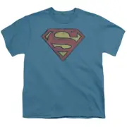 Superman Gritty Shield Kids Youth T Shirt Licensed Clark Kent DC Comic Tee Slate
