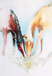 Best Modern Water colour Horse Painting Canvas Print Home Decor Wall Art GIFT