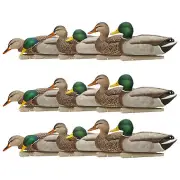 Avian X Topflight Realistic Floating Rugged Fusion Mallard Decoy Set, 18 Pack