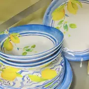 12 Pieces Blue Lemon Melamine Dishes Set