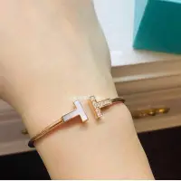 在飛比找Yahoo!奇摩拍賣優惠-vivi Tiffany&co. 蒂芙尼 T系列女士18K 