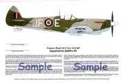 Aviation Art, R. A. F. Ace, "Stocky" Edwards, Spitfire, Artist; Ernie Boyette