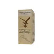 NEW Miniature Leonardo Da Vinci Ornithopter
