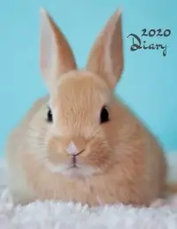 在飛比找博客來優惠-2020 Diary: Rabbit Lovers Week