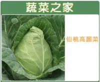 在飛比找Yahoo!奇摩拍賣優惠-【蔬菜之家00B09】大包裝.仙桃高麗菜種子7.5克(約19