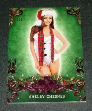 2014 Benchwarmer SHELBY CHESNES Holiday #27 Pink Foil Variant/5 PLAYBOY Playmate