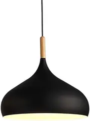 Contemporary Metal Pendant Light Shade Smooth Surface Dinning Ceiling Pendant Lamp Fixture (Black)