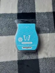 Scentsy Blue Agave & Melon Authentic Scent Made In Usa Wax Bar Melt Aromatherapy