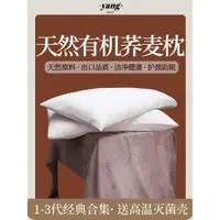 在飛比找ETMall東森購物網優惠-全蕎麥皮殼枕頭護頸椎男女軟硬高低成人純蕎麥枕芯兒童高端家用枕