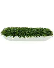 Creative Displays UV-Rated Outdoor Boxwood Arrangement In White Fiberstone Planter
