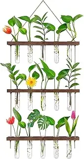 LOVEWEE Propagation Station, Wall Hanging Planter Terrarium Retro 3 Tiered Propagation Test Tube for Hydroponic Plants Cutting Home Office Garden Decor with 16 Glass Tubes