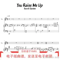 在飛比找蝦皮購物優惠-熱賣精品You Raise me up 歐美流行 小提琴獨奏