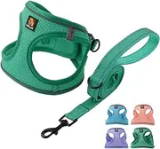 BELLA & PAL Puppy Harness with Leash Set, Dog Harness for Small Dogs No Pull, Dog Leash for Small Dogs, Step in Harness for Extra Small Dogs, Green Harness, S