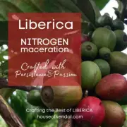 The Bagan N2 - Liberica Natural Nitrogen Maceration