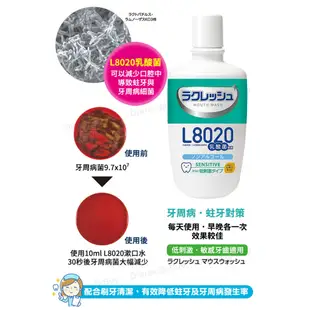 日本 L8020 乳酸菌漱口水 300ml (敏感牙齒適用)