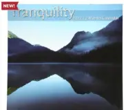 2022 Wall Calendar TRANQUILITY 12" x 12" NEW YEAR NEW CALENDAR