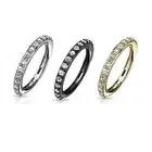 Surgical Steel Hinged Segment Hoop Ring 16 Gauge & CNC Set Paved Gems