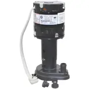 AllPoints 681503 Water Pump, 2.58 GPM, 1550 RPM, 120V