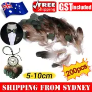 200X Lady Amherst Natural Green Pheasant Feathers DIY Craft Millinery Jewellery
