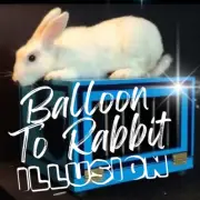 BALLOON TO RABBIT ILLUSION - Magic & Party Tricks
